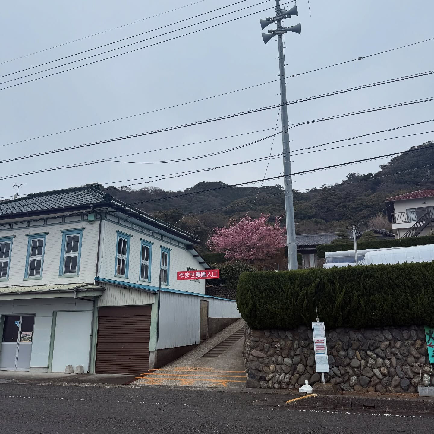 【やませイチゴ農園さんの紹介】